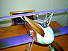 Albatros DII 36" Geoff Ashton