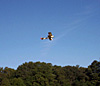 Bristol Scout 34" Andrew Perry